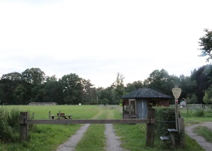 Hoeve Op Vollenhof 3*