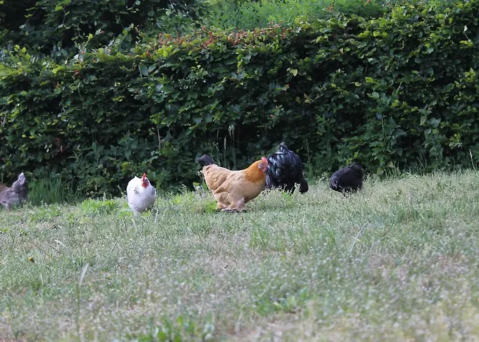 Hoeve Op Vollenhof ベッド・アンド・ブレックファスト 3*