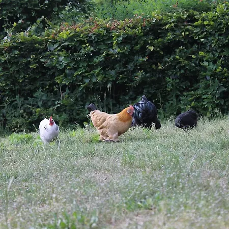 Hoeve Op Vollenhof Bed & Breakfast *