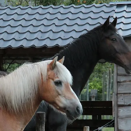 Hoeve Op Vollenhof 3*