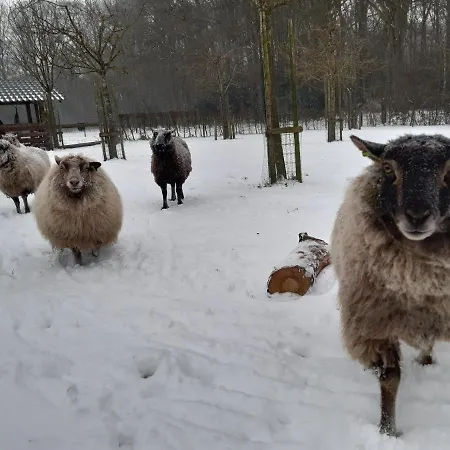 Bed & Breakfast Hoeve Op Vollenhof *