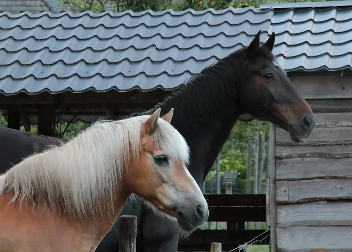 Hoeve Op Vollenhof 3*