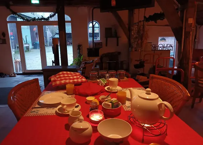 Hoeve Op Vollenhof 3*