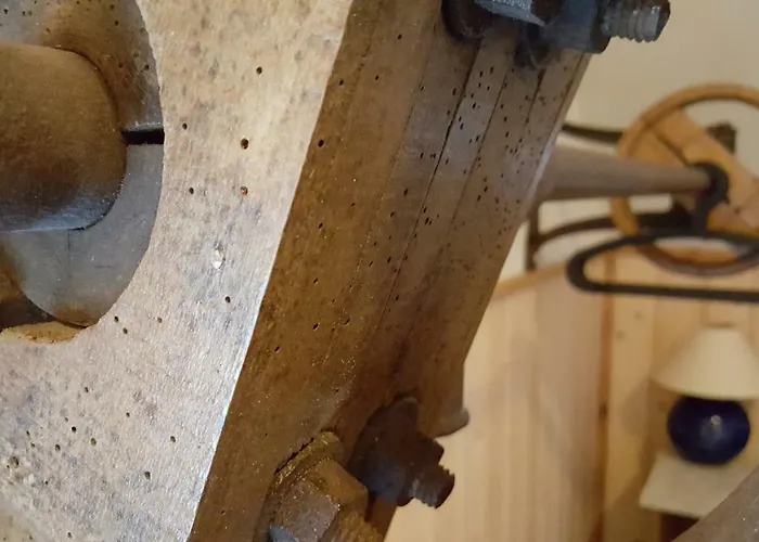 Hoeve Op Vollenhof 3* Wezep